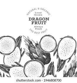 Hand drawn dragon fruit design template. Organic fresh food vector illustration. Retro pitaya fruit banner.