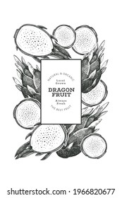 Hand drawn dragon fruit design template. Organic fresh food vector illustration. Retro pitaya fruit banner.