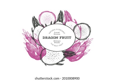Hand drawn dragon fruit design template. Organic fresh food vector illustration. Retro pitaya fruit banner.