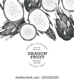Hand drawn dragon fruit design template. Organic fresh food vector illustration. Retro pitaya fruit banner.