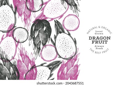 Hand drawn dragon fruit design template. Organic fresh food vector illustration. Retro pitaya fruit banner.