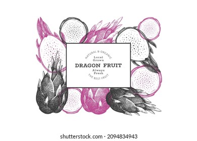 Hand drawn dragon fruit design template. Organic fresh food vector illustration. Retro pitaya fruit banner.