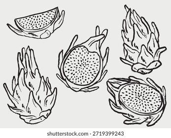 Conjunto de fruta de dragón dibujado a mano con pitaya entera y en rodajas. Diseño de frutas tropicales sabrosas. Ilustración de boceto de Vector en estilo vintage de carbón de crayón