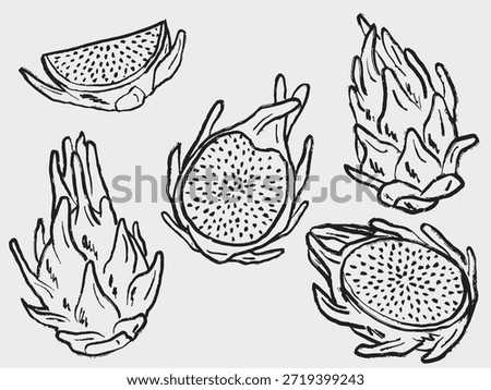 Hand drawn dragon fruit set with whole and sliced pitaya. Tropical tasty fruit design. Vector sketch illustration in vintage crayon charcoal style