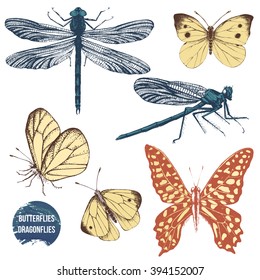 Hand drawn dragonflies and butterflies set