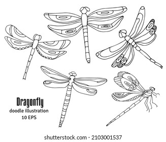 Hand drawn dragonflies on white background. Black line art vector illustration.