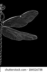 Hand Drawn Dragonfly