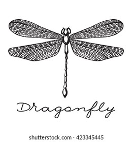 Hand drawn dragonfly with doodle drawn wings