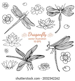 Hand drawn dragonfly isolated on white background. Black and white line art. Doodle insects and lotus. Vector illustraton.
