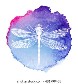 hand drawn dragonfly on bright watercolor background