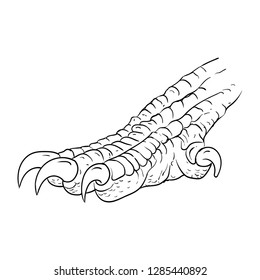 Hand drawn of dragon's leg