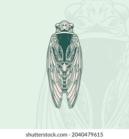 Hand drawn drawing of a insect coloring book design. Ink drawing, graphic style. Beautiful design elements. Vintage style.
