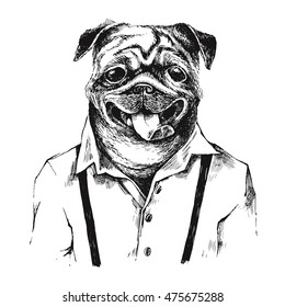 Hand drawn dressed up black and white pug in hipster style