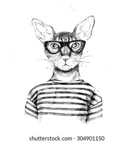 Hand drawn dressed up hipster cat 