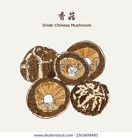 Hand drawn dried chinese mushroom 香菇. Hand drawn vector illustration in sketch style. EPS 10 商業照片 © 