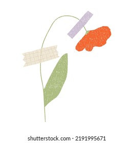 Hand drawn dried flower with washi tape . Vector element isolaten on white background