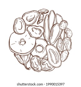 Hand drawn dried fruits in a circle on white background. Vector sketch  illustration.