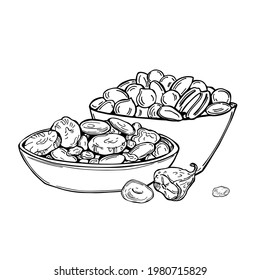 Hand drawn dried fruits and nuts. Vector  sketch illustration.