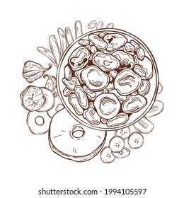 Hand drawn dried fruits on white background.Vector sketch  illustration.