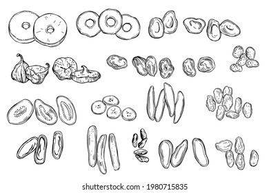 Hand drawn dried fruits set. Vector   illustration.