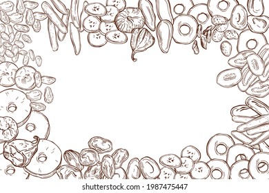 Hand drawn dried fruits. Vector background.