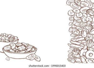 Hand drawn dried fruits. Vector background.