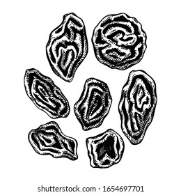 Hand drawn dried grape berries  - raisin sketches set. Vintage dehydrated fruits and berries in engraved style. Delicious healthy dessert - raisins. Realistic oriental sweets vector illustrations.