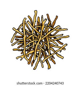 Hand drawn dried root isolated on white background. Botanical vector illustration in colored sketch style for packaging, logo, scientific articles design