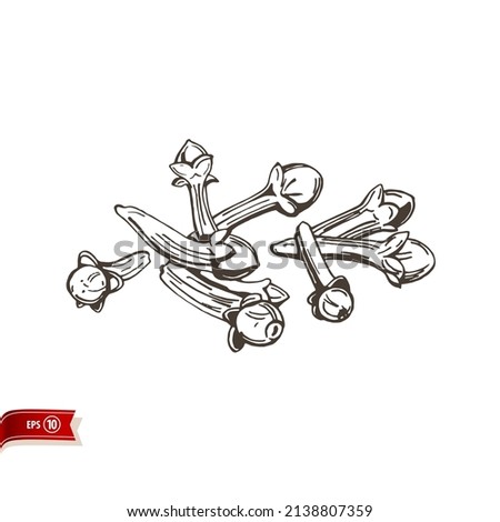 Hand drawn dry cloves bloom isolated on white background. Vector sketch for poster, web design, banner, card, flyer, icon, logo or badge.
