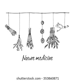 Hand drawn dry herb and plants garland illustration in vector. Natural medicine illustration.