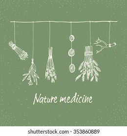 Hand drawn dry herb and plants garland illustration in vector. Natural medicine illustration.