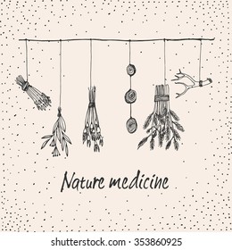 Hand drawn dry herb and plants garland illustration in vector. Natural medicine illustration.