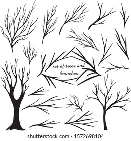 Hand drawn dry tree branches collection. Vector illustration on white background without leaves. Bare tree branch silhouettes. Leaves, swirls and floral elements wood 