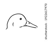 Hand drawn duck animal vector illustration. Sketch isolated on white background with pencil and label banner. duck, vector sketch on a white background
