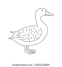Ilustración del vector animal de pato dibujado a mano.