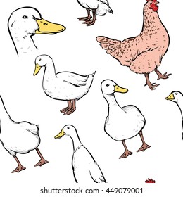 Hand drawn duck and chicken pattern including seamless on white background. Hand drawn vector illustration.