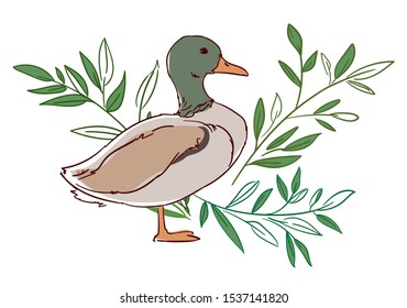 Hand drawn duck with leaves isolated on a white background. Sketch bird, vector illustration.