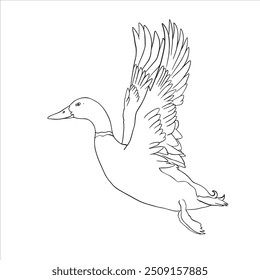 Hand Drawn Duck Outline Drawing