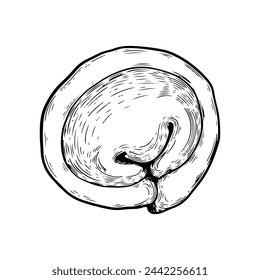 Hand gezeichnete Knödel Vektor-Illustration. Pelmeni, Teig und Fleischerzeugnisse. Russische Küche. Teig und Fleischprodukte. Für Markt, Textiltapete, Marke. Skizzenvektordarstellung