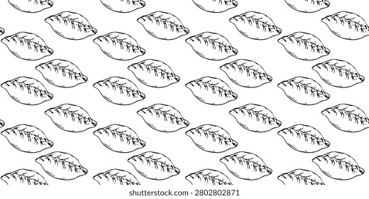 hand drawn dumplings gyoza doodle repeat pattern design