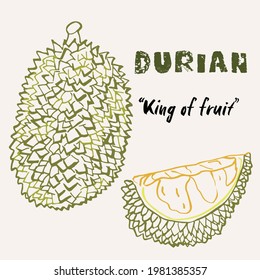Ilustración vectorial de la línea multicolor de la fruta duriana dibujada a mano. Arte colorido y diseño de frutas exóticas.