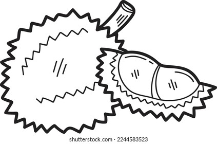 Hand Drawn durian illustration isolated on background