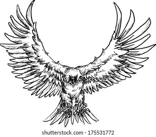 hand drawn eagle