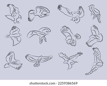 hand drawn eagle bird sketch vector illustration.eagle outline painting icon set