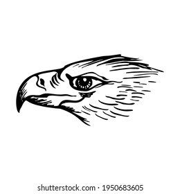 Hand drawn eagle bird vector illustration. Sketch isolated on white background with pencil, label banner. Eagle vector sketch on a white background.  Bird symbol black and white. Ornithology. Logo
