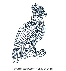 hand drawn eagle doodle vector illustration