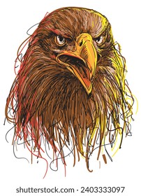 hand drawn eagle head color vector illustration