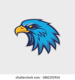 Hand drawn of Eagle head , Eagle mascot for t-shirt , Sport wear ,logo, emblem graphic, athletic apparel stamp.