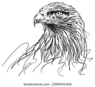 hand drawn Eagle head vector illustration