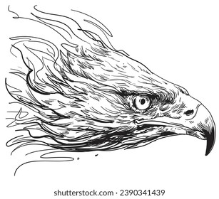 hand drawn Eagle head vector illustration